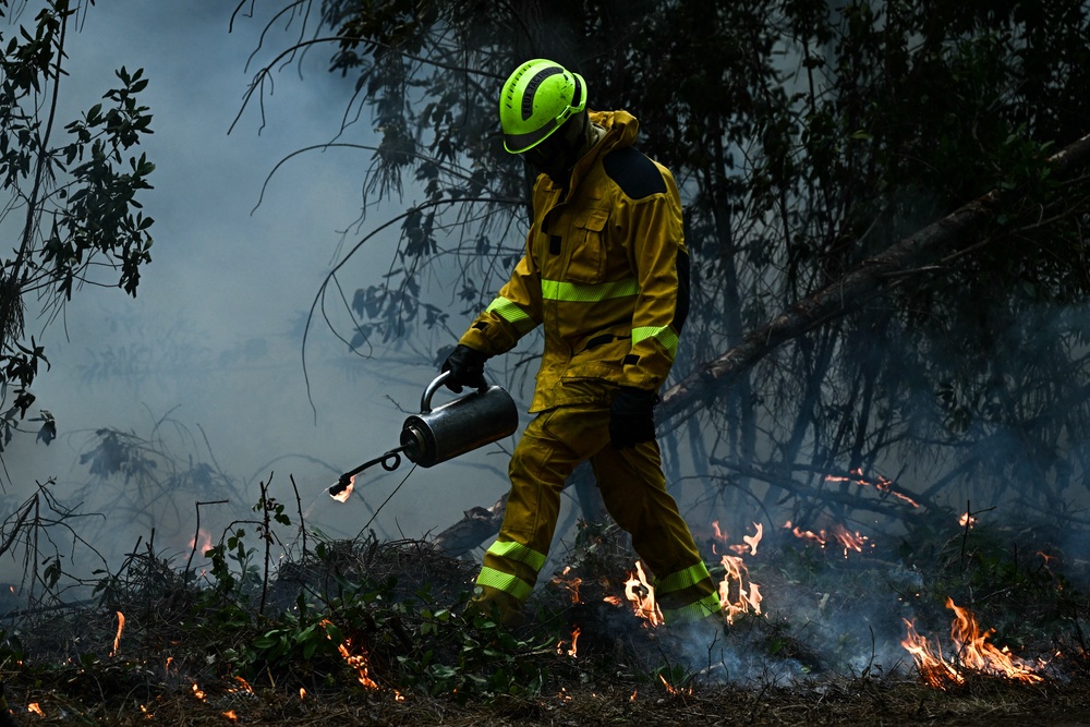 A firefighter uses a metal drip torch to ignite controlled fires in a forest in Le Porge, north of the Arcachon Basin, on July 30, 2026, during wildfires in the Gironde region, southwestern France (AFP/Getty)
