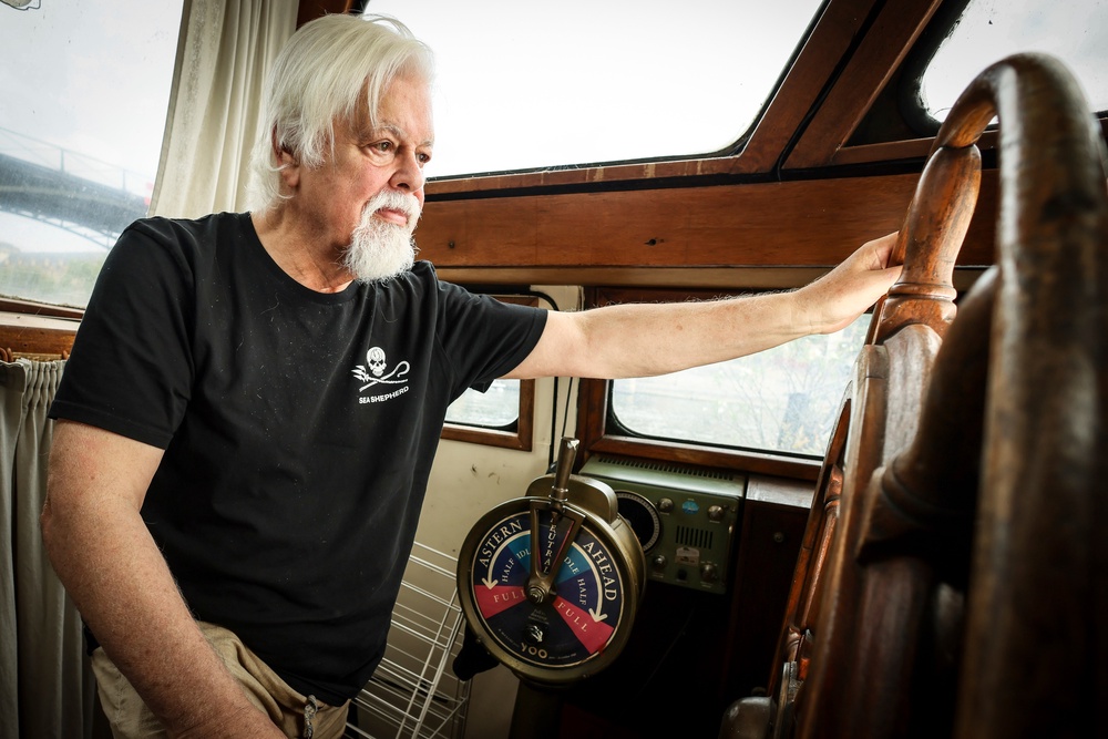 Iceland Whaling (Copyright 2025 The Associated Press. All rights reserved.)