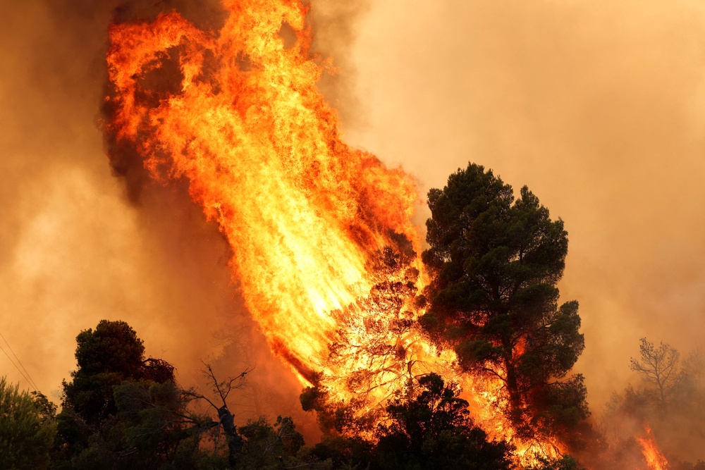 Trees burn during a wildfire near the village Agia Paraskevi, Greece (Reuters)