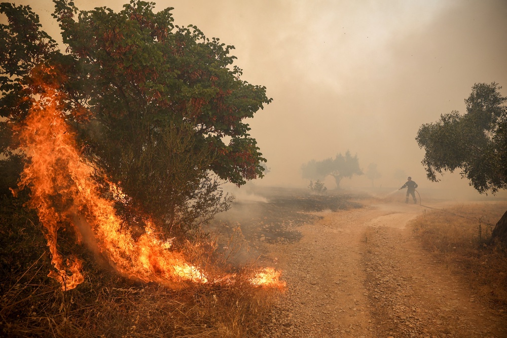 Firefighters try to extinguish a wildfire in Loumpa village (AFP/Getty)