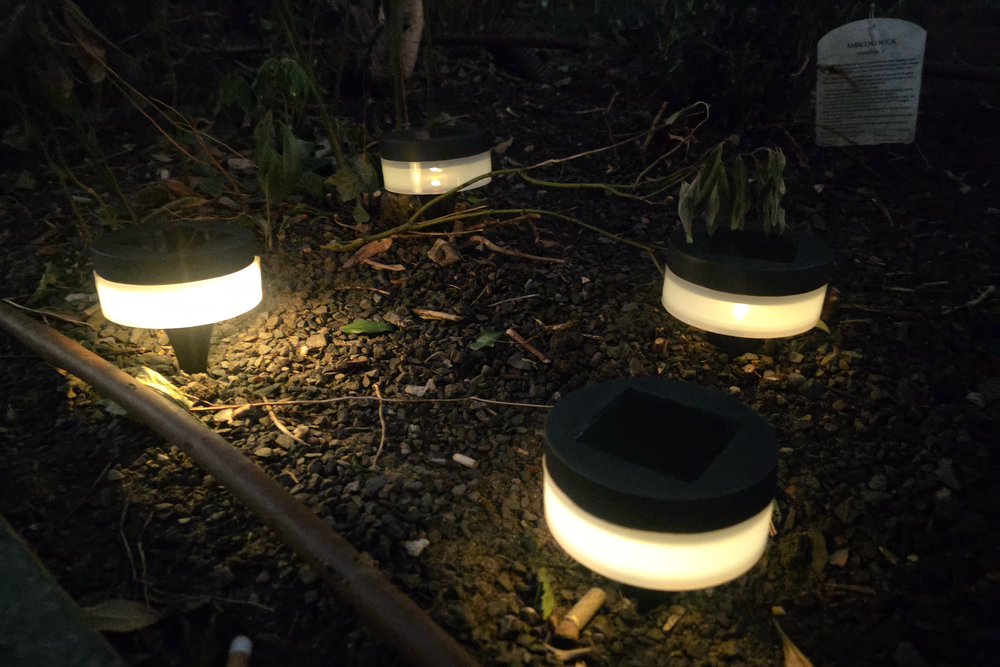 These sit low on the ground (Abha Shah/The Independent)