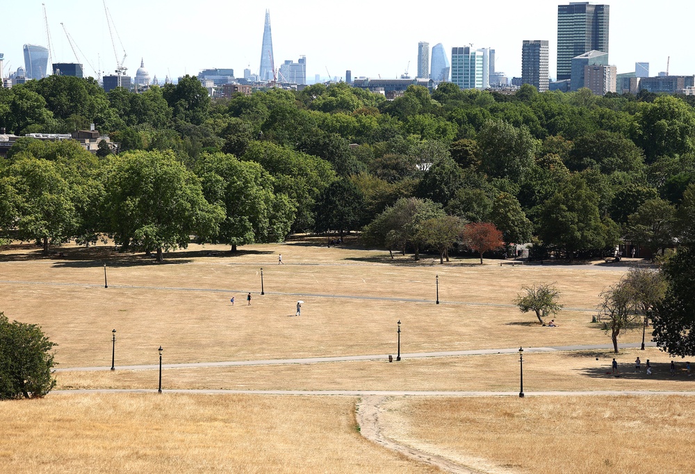 Primrose Hill is a well-placed vantage point (Getty)