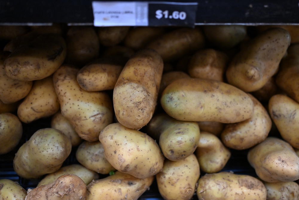 Britain’s Christmas potato crop could be affected by the hot and dry weather (AFP/Getty)