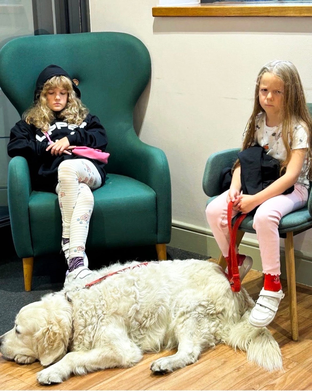 Lola and Liberty looking not at all impressed with the fun on offer from a visit to the bank (Charlotte Cripps/The Independent)