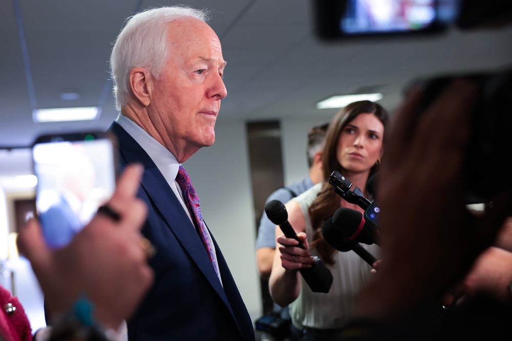 Cornyn said after the vote that there was 'nothing' he could do to 'rein in' Trump (Getty)