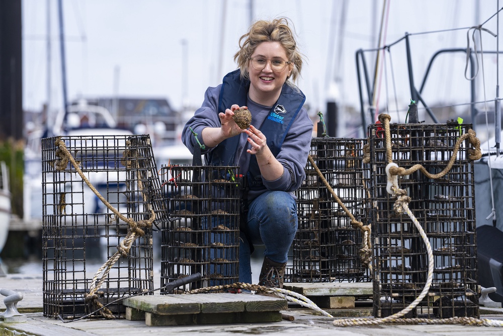 Heidi McIlvenny, marine conservation manager at Ulster Wildlife, inspecting one of the 24 native oyster nurseries installed at Bangor Marina in 2022 (Brian Morrison/Ulster Wildlife/PA) (PA Media)