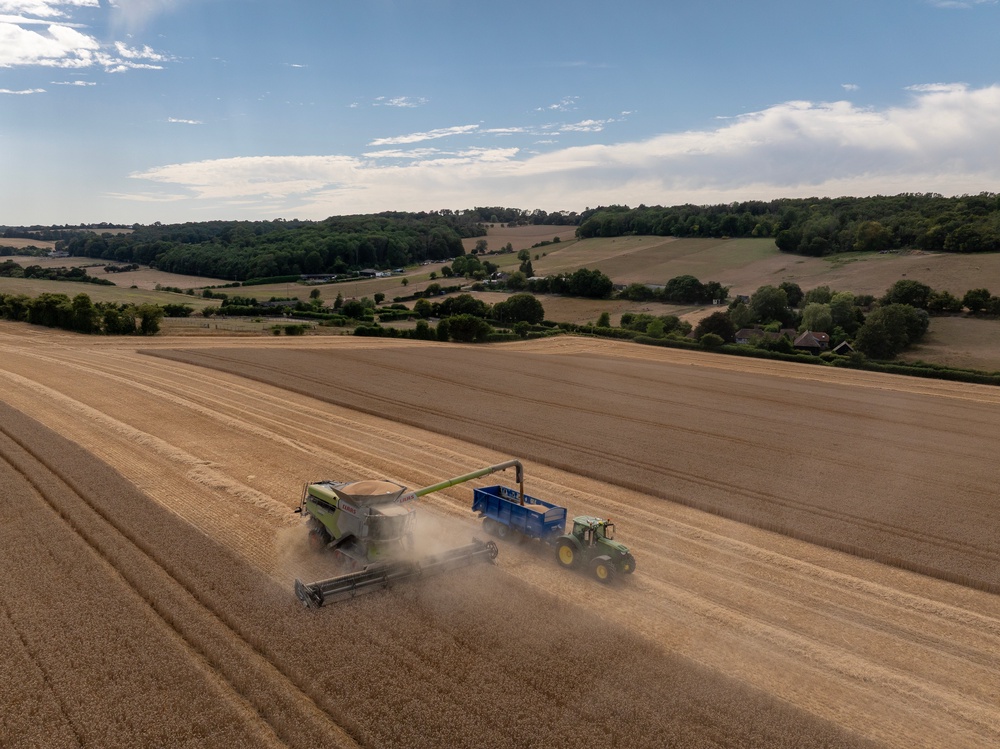 British farmers have warned they are struggling with the heatwave conditions (Getty)