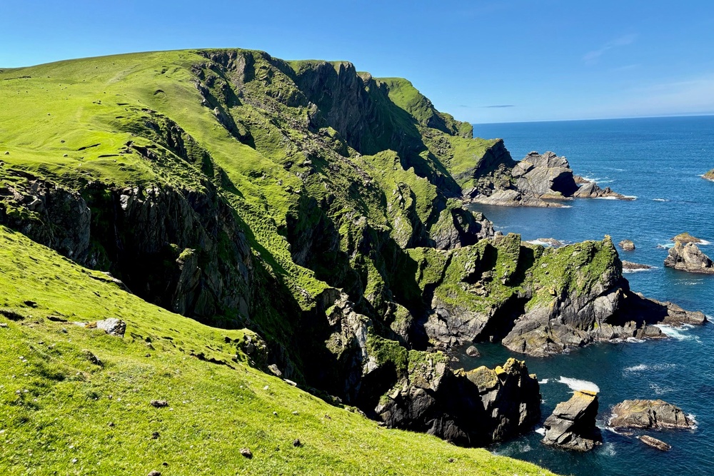 After the fog cleared, it was a beautiful day at Hermaness National Nature Reserve (Amelia Neath/The Independent)