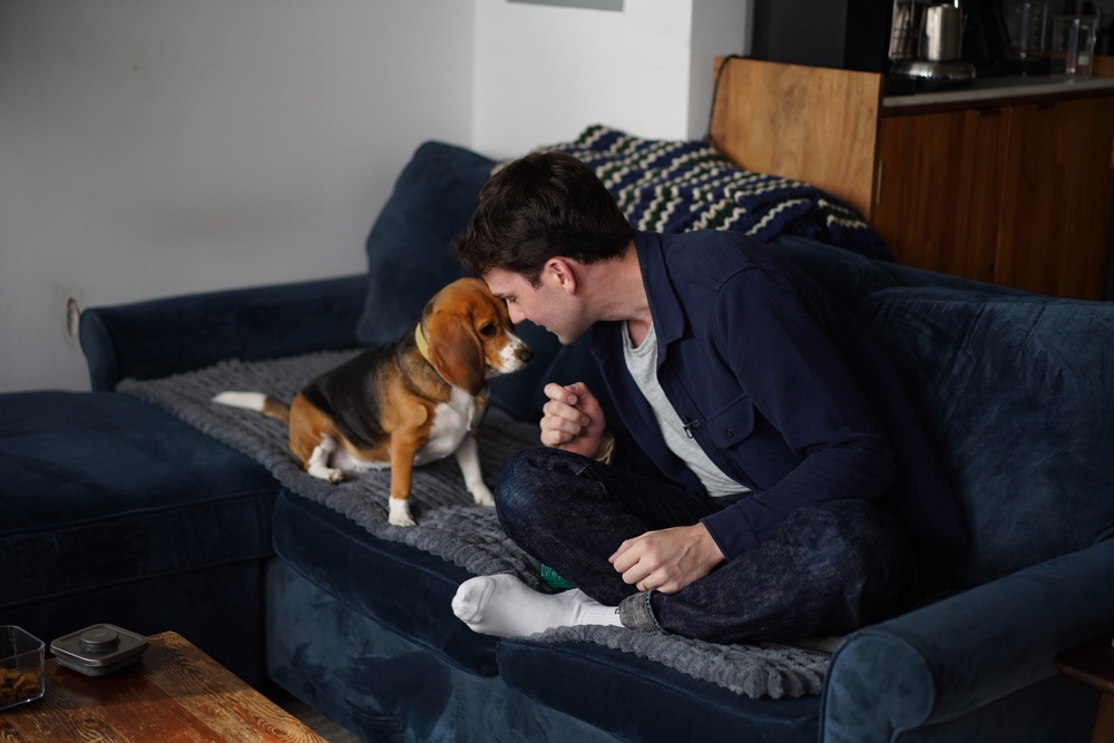 Bailey currently resides with Mr. Walker in New York (AP Photo/Mary Conlon)