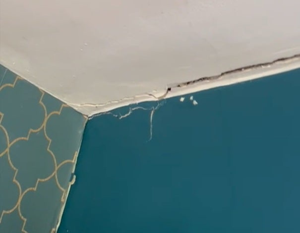 Cracks in the wall in Caroline Fieldhouse’s home (Caroline Fieldhouse)
