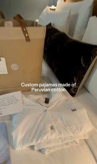 Influencers were given monogrammed pyjamas and a tote bag with the ChatGPT logo on it (Instagram via @sreyahalder)