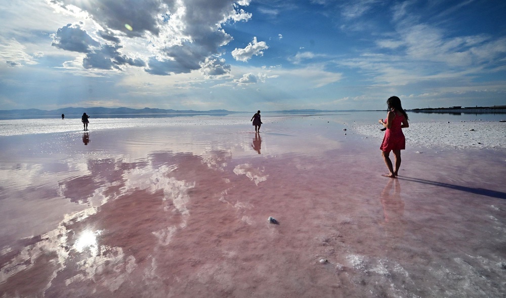 People step into the pink water at the Great Salt Lake in Utah, in September 2024. Mosquitoes are particularly abundant around the lake and some traps have caught nearly 30,000 in a single night (AFP via Getty Images)