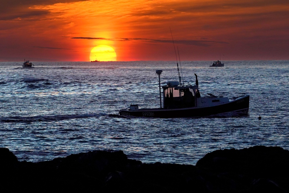 Conservation groups have long made the case that lobster and crab fisheries are both dangerous to the whales, and government agencies have acknowledged that entanglement in fishing gear is a critical threat to the giant animals (AP Photo/Robert F. Bukaty)