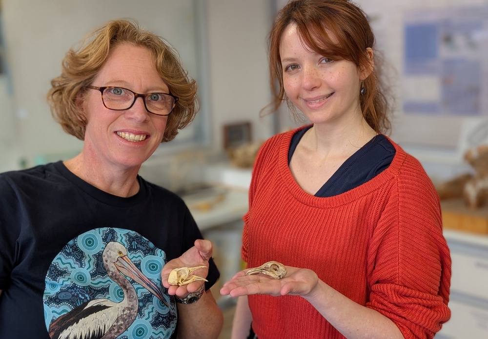 Vera Weisbecker and Aubrey Keirnan with pigeon skulls (A Keirnan/Flinders University)