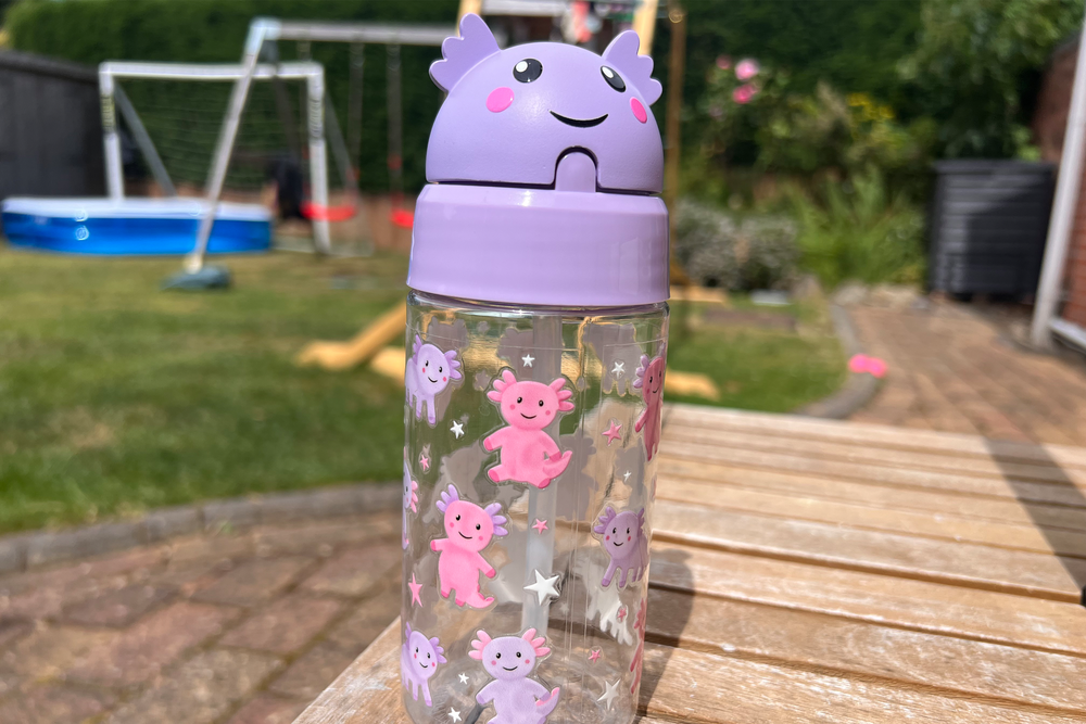 This cheap bottle is lightweight to carry (Sarah Dawson/The Independent)