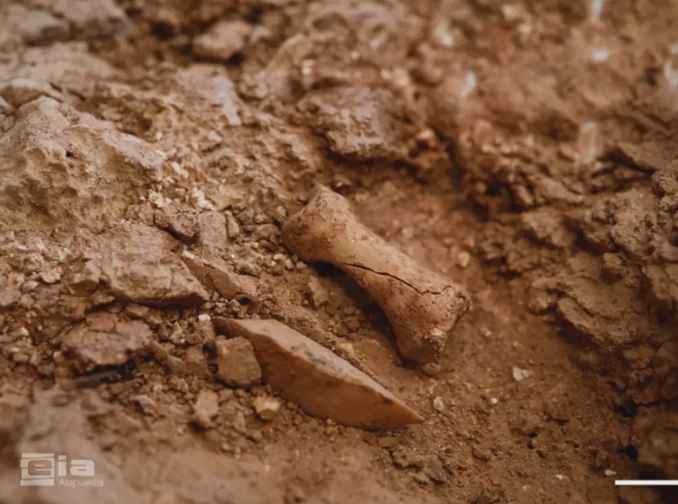 New Homo antecessor fossil unearthed at Spanish cave site (IPHES)