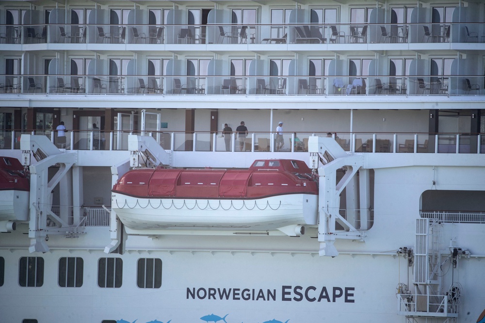 Cruise passenger Jason Gordon's alleged pig bite happened during a shore excursion while vacationing aboard the Norwegian Escape, court papers say (AFP via Getty Images)