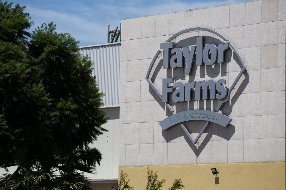 Taylor Farms issued a voluntary recall of its iceberg lettuce sourced from Mexico earlier this summer (Reuters)