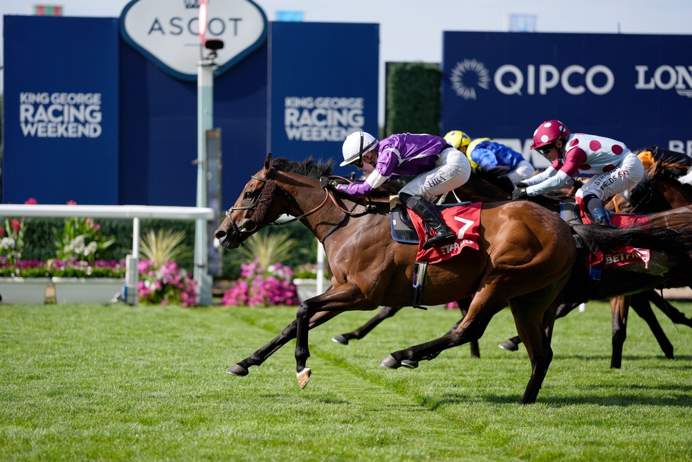Flat racing continues at Ascot (Adam Davy/PA) (PA Wire)