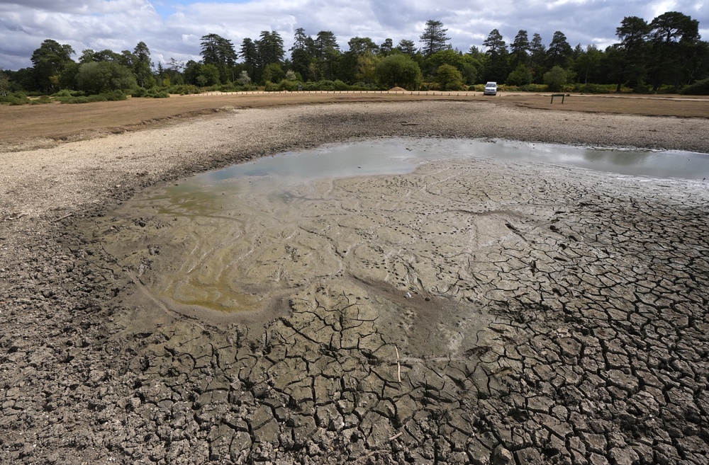 Drought, hosepipe bans and wildfires have been a feature of the UK summer (Andrew Matthews/PA) (PA Wire)