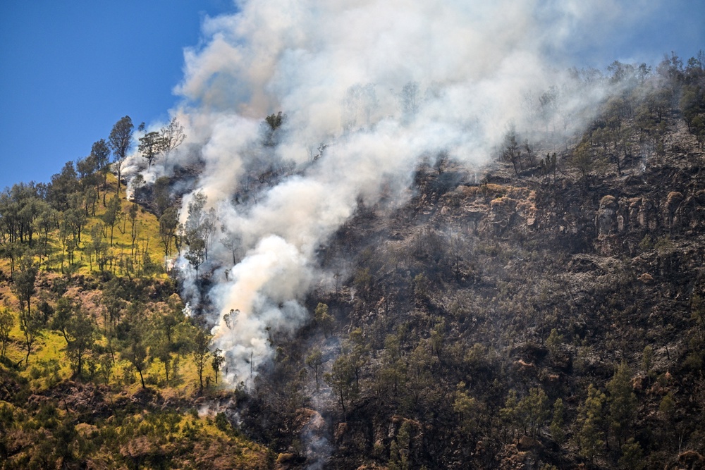 A wildfire burns in Bromo Tengger Semeru National Park near Mount Bromo in Probolinggo, East Java province on 6 August 2026 (AFP/Getty)