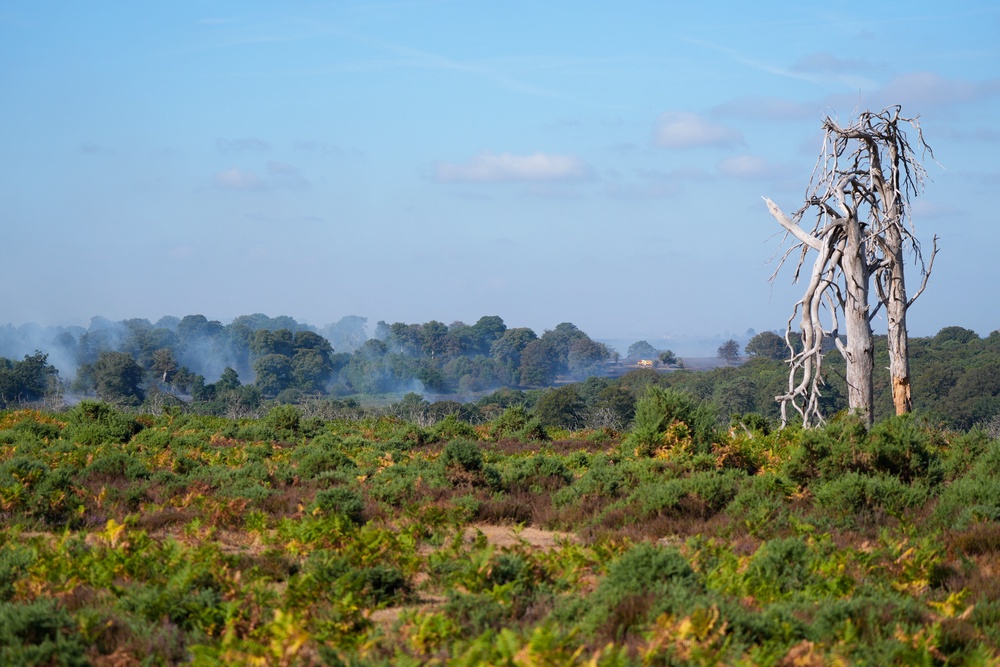More than 20 fire engines are tackling the blaze near the A31 after a vehicle fire spread to the nearby heathland on Sunday (PA)