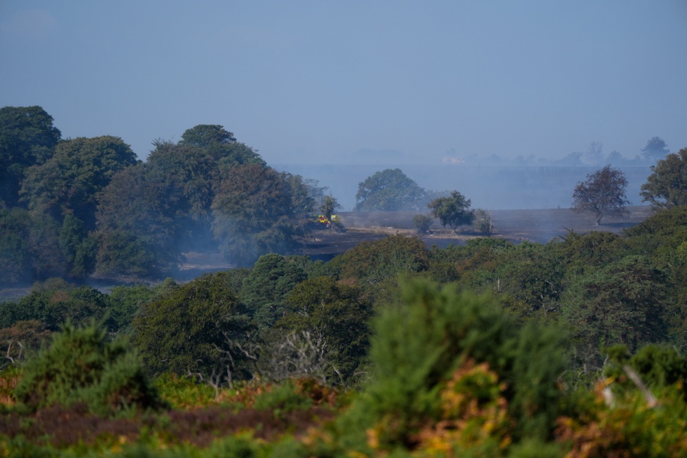 Smoke rises from a major heathland blaze in the New Forest near Ringwood in Hampshire (PA)