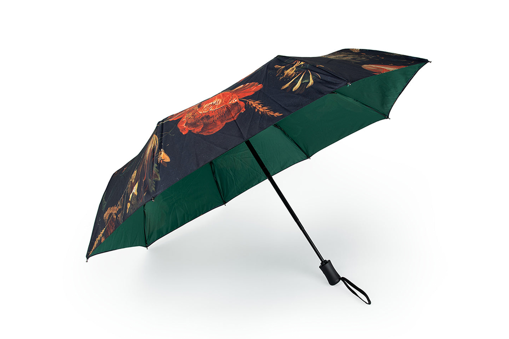 Image from: 11 best umbrellas, reviewed after wet and windy walks