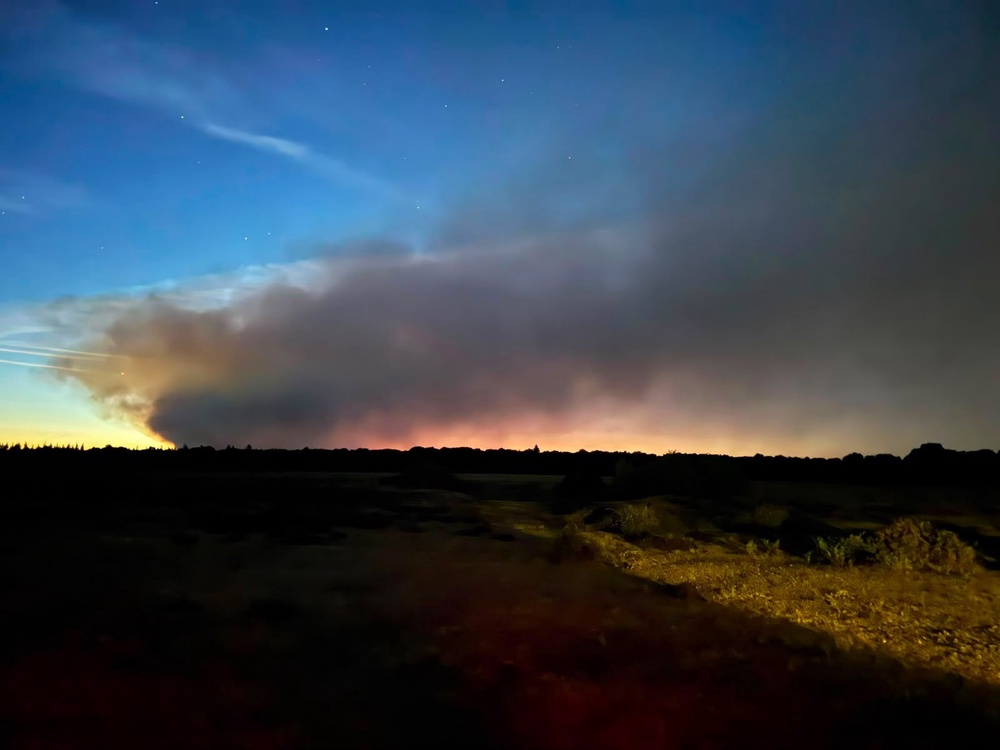 A major heathland blaze in the New Forest near Ringwood in Hampshire on Sunday evening (Forestry England/PA)