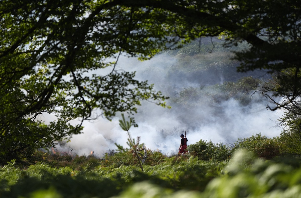 Firefighters tackle the fire at a major heathland blaze in the New Forest near Ringwood in Hampshire (Andrew Matthews/PA) (PA Wire)
