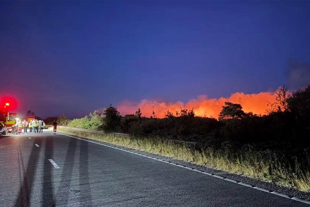 A Hampshire Constabulary spokeswoman said that 23 vehicles were left behind by motorists on Sunday, which were moved by police, with the owners asked to call 101 to be reunited with their vehicles (New Forest Police)