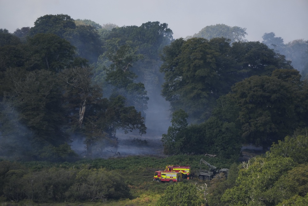 Firefighters have been tackling a blaze in the New Forest near Ringwood in Hampshire (PA Wire)