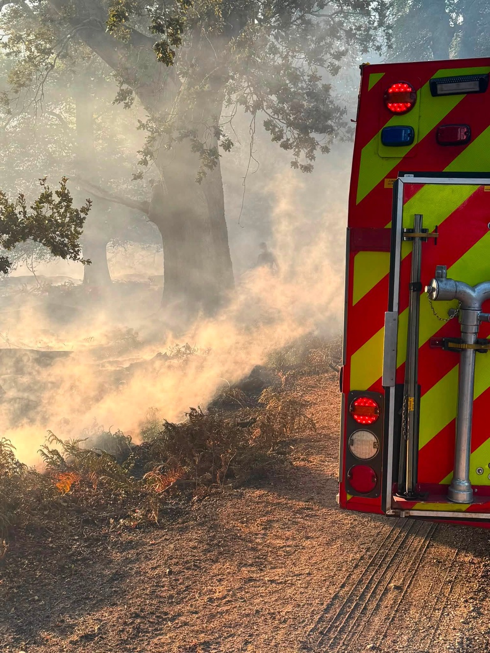 Firefighters from across Hampshire and Dorset have battled a major fire in the New Forest since Sunday (Hampshire & Isle of Wight Fire & Rescue Service)