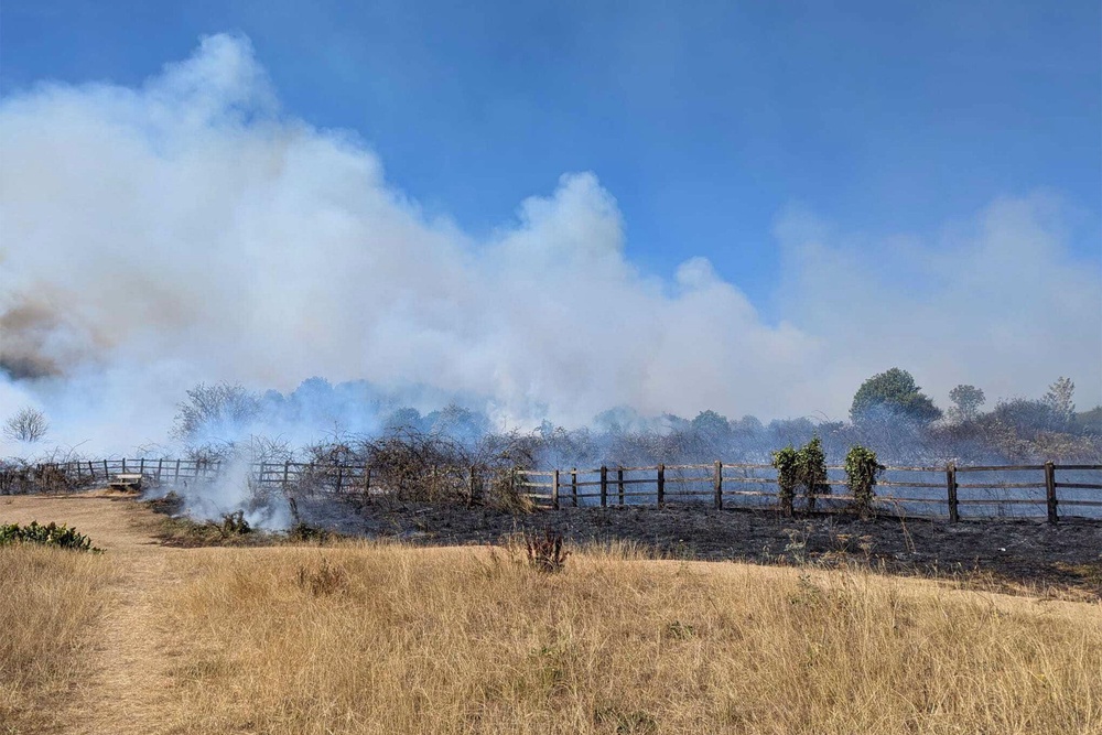 Smoke billowed from the park and over Exeter as fire crews raced to tackle the blaze (Devon Wildlife Trust)