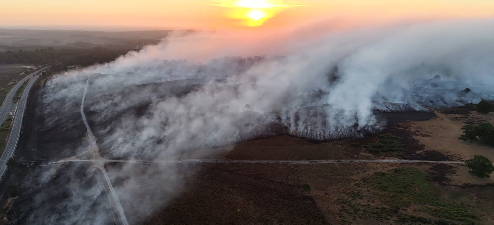 Fire in the New Forest by the A31 on the evening of 10 August (Hampshire Fire & Rescue)