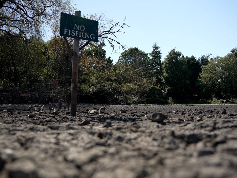 Heat health alerts are to come into force (Jamie Lashmar/PA) (PA Wire)