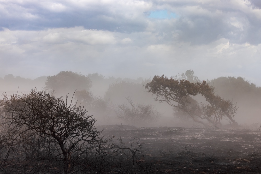Smoke and ash from the wildfire at Dunwich Heath in Suffolk (Justin Minns/National Trust/PA) (PA Media)