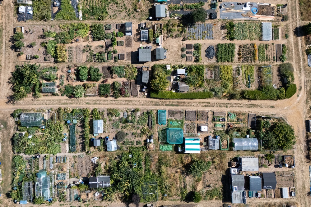 An aerial view of allotments in Basingstoke, Hampshire (Andrew Matthews/PA) (PA Wire)