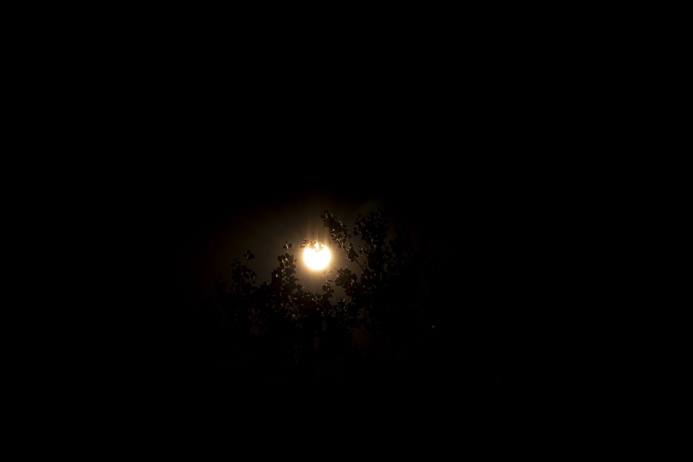 The sun as viewed with the naked eye at the Royal Observatory Greenwich (Jordan Pettitt/PA) (PA Wire)