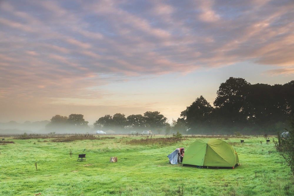 The Knepp Estate’s 3,500 acres have been transformed by a rewinding project (NT/John Miller)