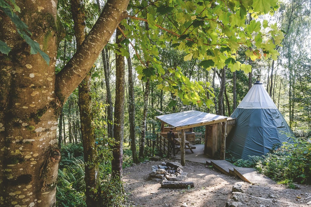 Comrie Croft is surf over 231 acres of woodland and meadows (Comrie Croft)