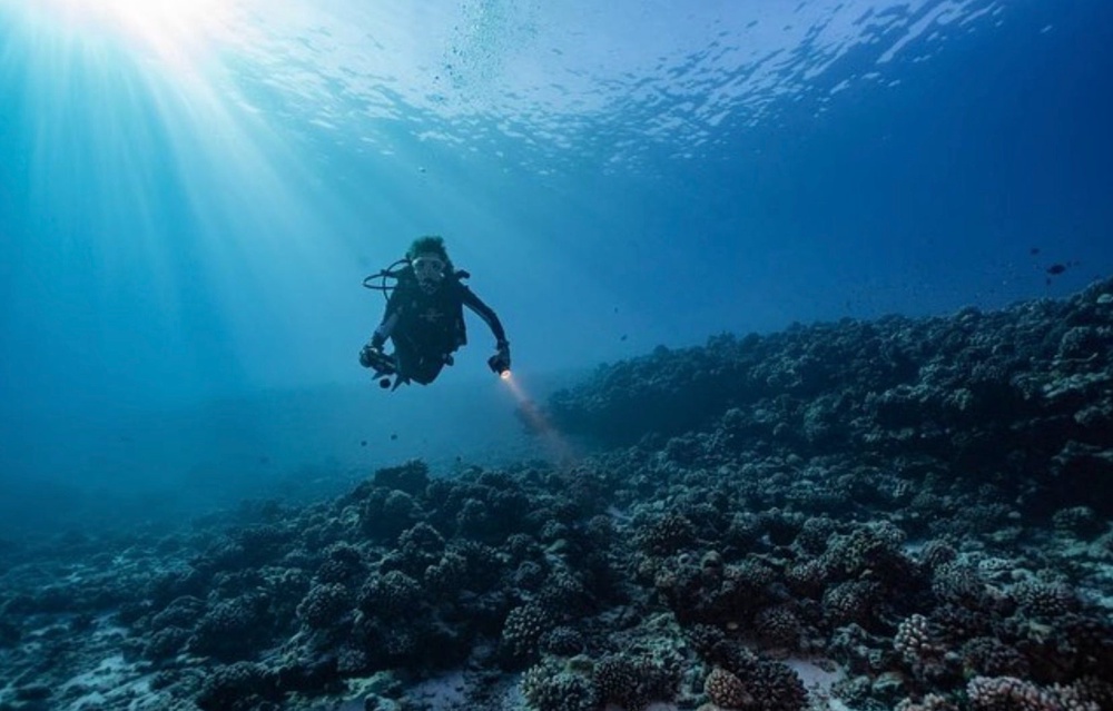 Sylvia Earle dives at Tetiaroa Atoll in French Polynesia. Earle has been spending time in the ocean since she was three years old (Sylvia Earle)