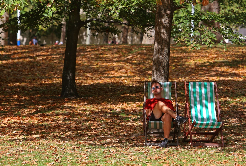 A 'false autumn' is underway, where trees drop their brown leaves because they are so dry (AFP/Getty)
