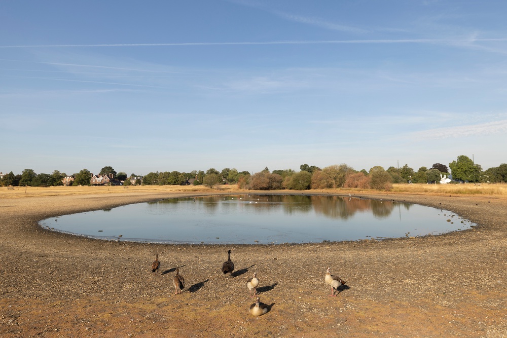 The depleted Rushmere Pond on Wimbledon Common in London (Getty)