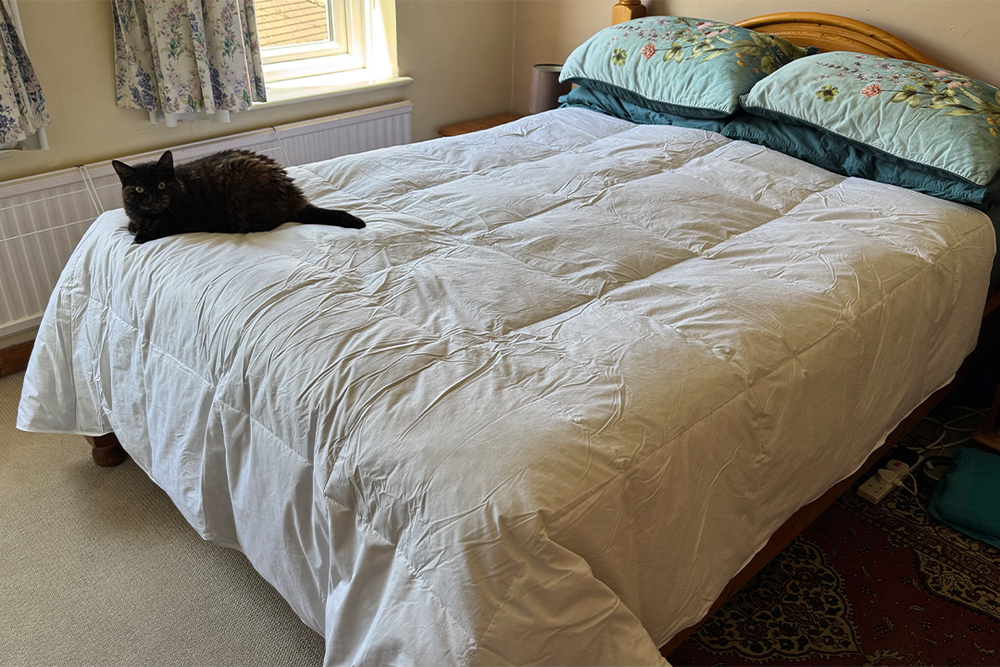 It felt as soft as a duvet with a far higher percentage of down to feathers (Jo Plumridge/The Independent)