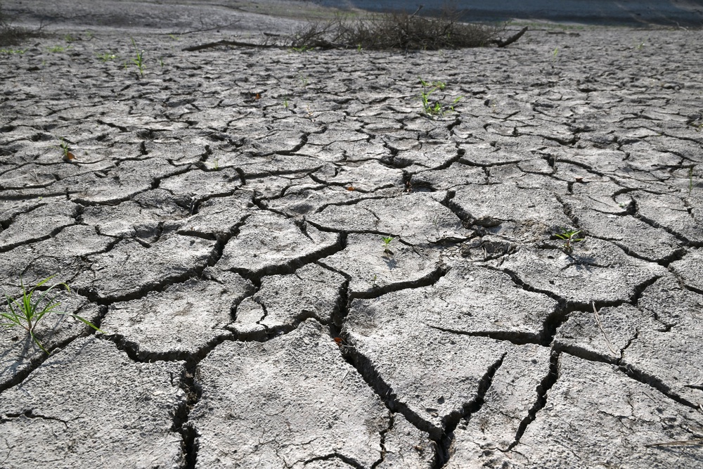 A dried-up reservoir in Miryang, South Korea (AFP/Getty)