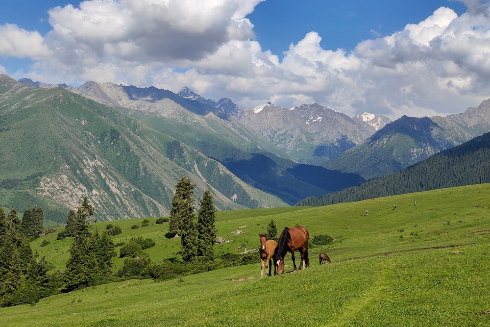 Huge parts of the country remain remote (James Draven)