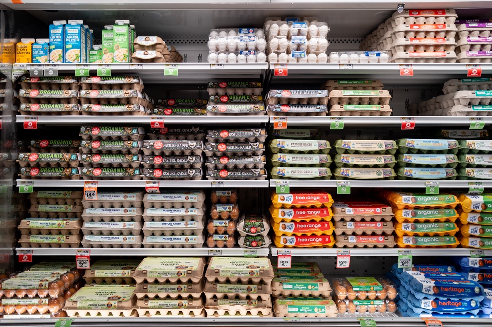 300 people in Belgium have now been infected with Salmonella (Getty)