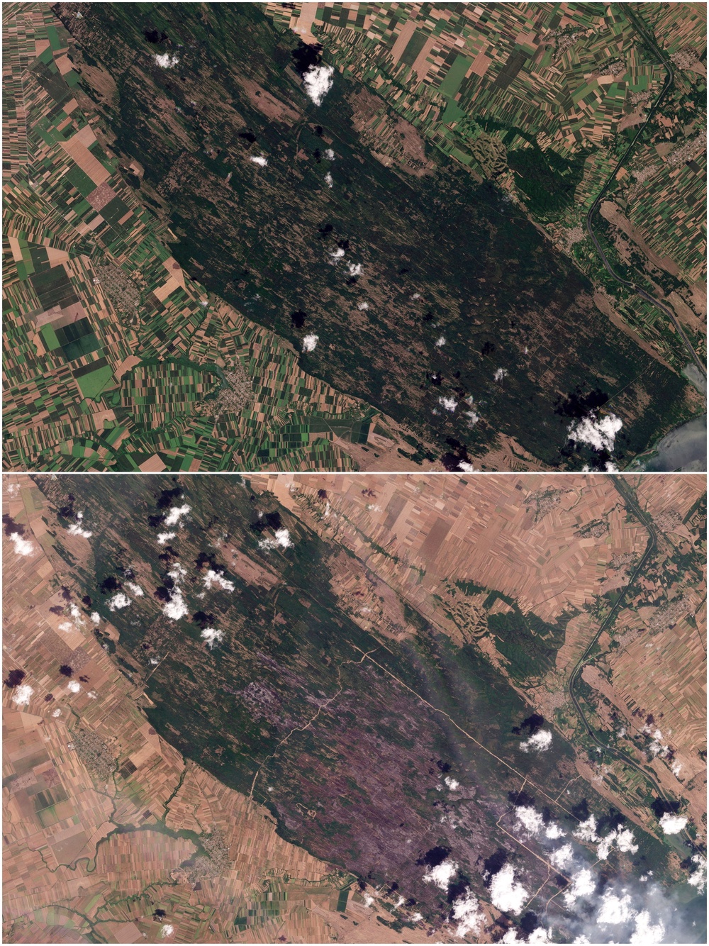 A combination of satellite images shows the Dubovac region of Serbia before the recent wildfires (top), July 28, 2026, and after the disaster (bottom), August 18, 2026 (Planet Labs PBC/)