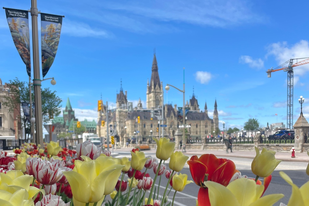 Ottawa in full bloom during the city’s Tulip Festival (Rory Buccheri)